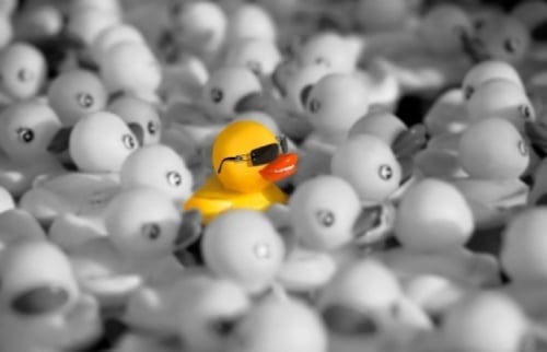 Odd-one-out-1.jpg